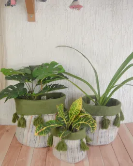Misty Moss Planter