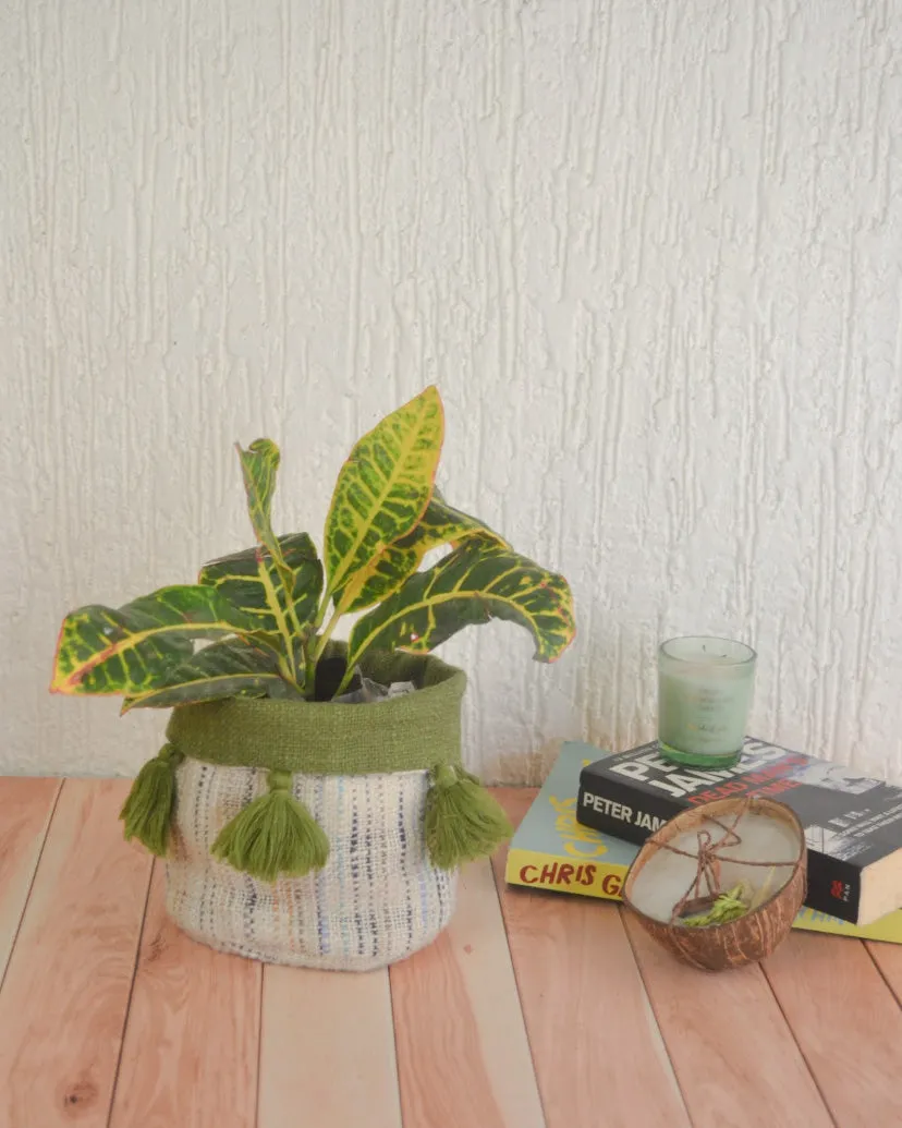 Misty Moss Planter