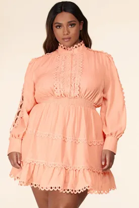 Plus Size Blush Lace Eyelet Long Sleeve Mini Dress